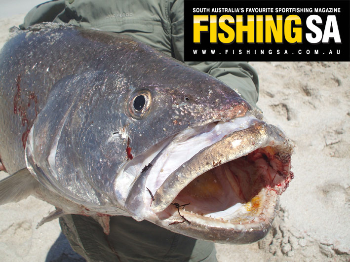 FISHING-REPORT-web.jpg