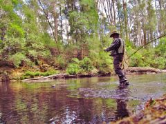 Spin fishing, Meander River...(6 1 16)(Medium)