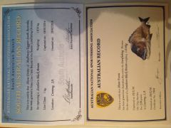 2lb line class lure fishing record certificates