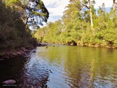 Great morning To Be On The Meander River, Meander. (20 4 16)