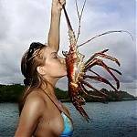 Lobster_kiss_2_250x250.jpg
