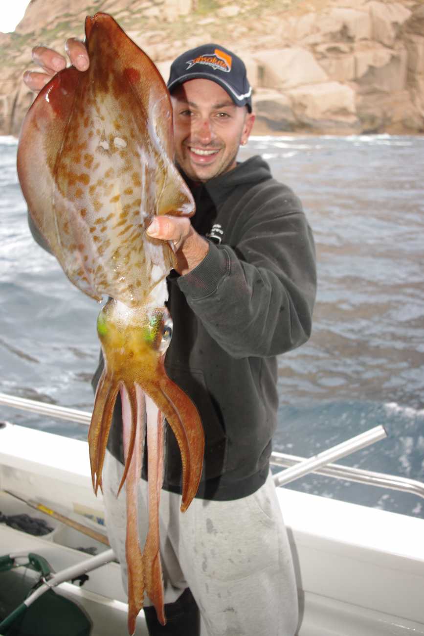 Is Squid a Good Bait for Fishing in the Ocean?
