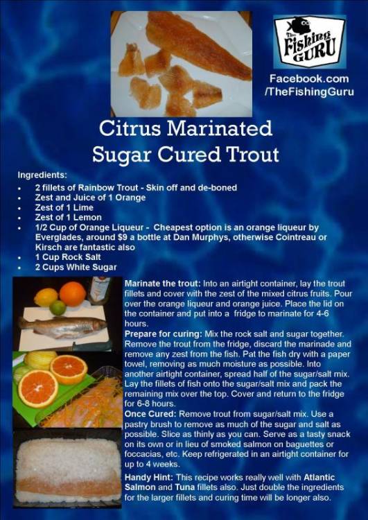 Citrus Marinated, Sugar Cured Trout.jpg