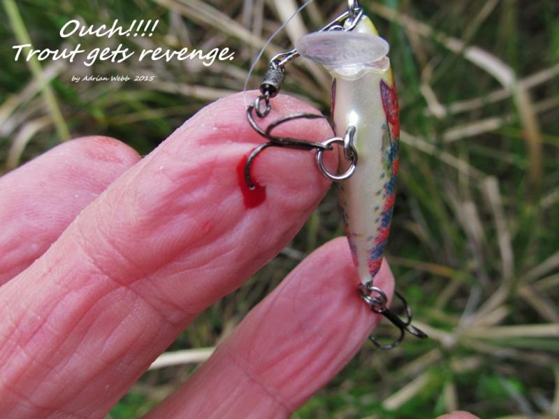 Considering Going Barbless - Bait & Tackle - Strike & Hook