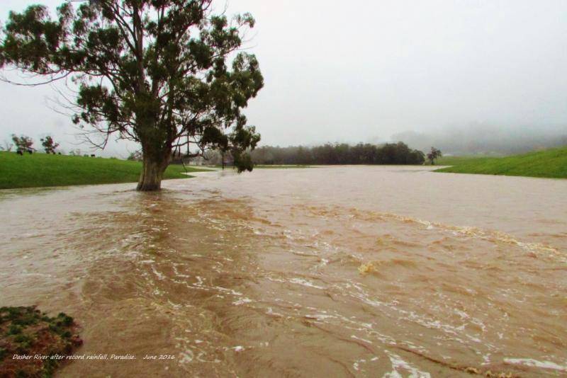Dasher River after record rainfall, Paradise. (6-6-16) (Medium).JPG