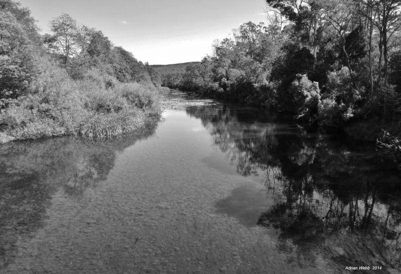 A very low Mersey River, Weegena. (19-3-14) - Copy (Large).JPG