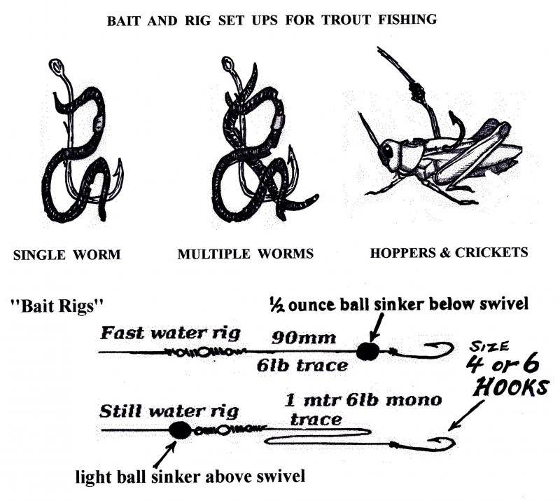 Bait rigs for trout...jpg