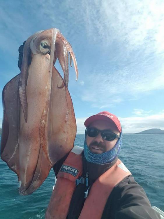 Big squid.jpg
