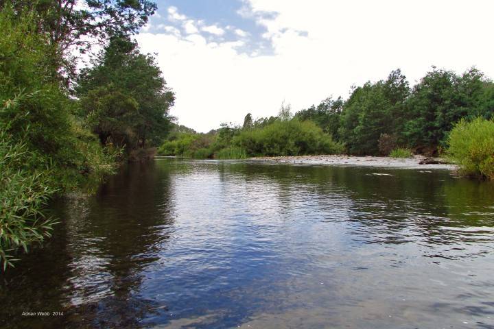 4-Mersey River, Weegena.(private prop)-4 (Small).JPG