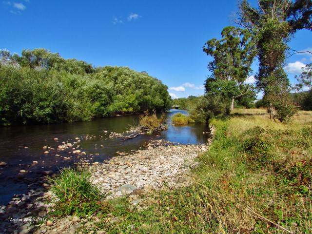 6-Mersey River at Merseylea (18-3-14) (Small).JPG