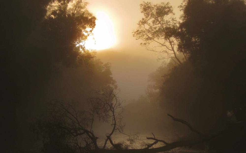 4.50am Sunrise breaking through mist, Meander River. (Medium).JPG