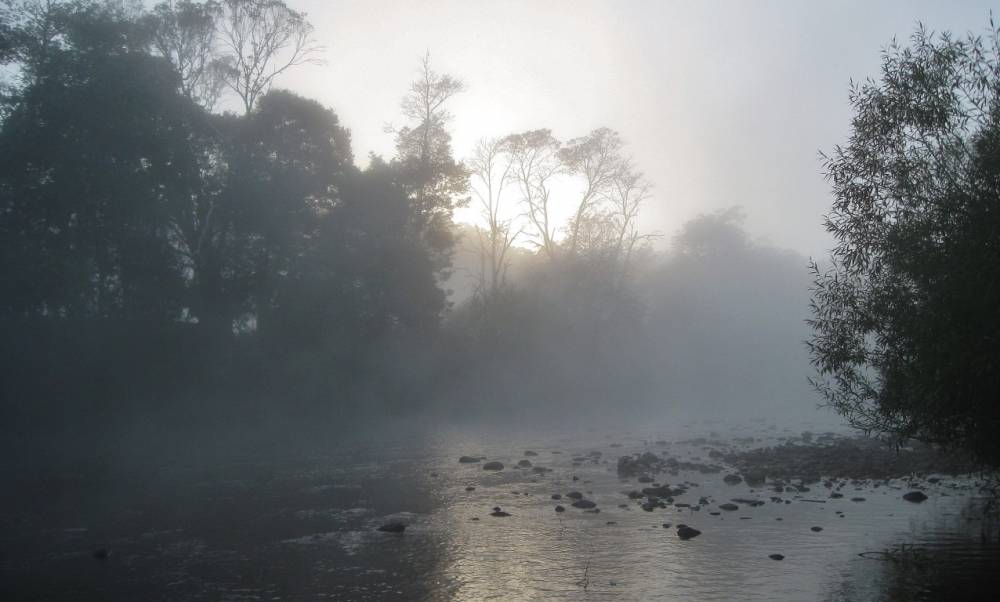 5.30am morning mist. Mersey River. (Medium).JPG