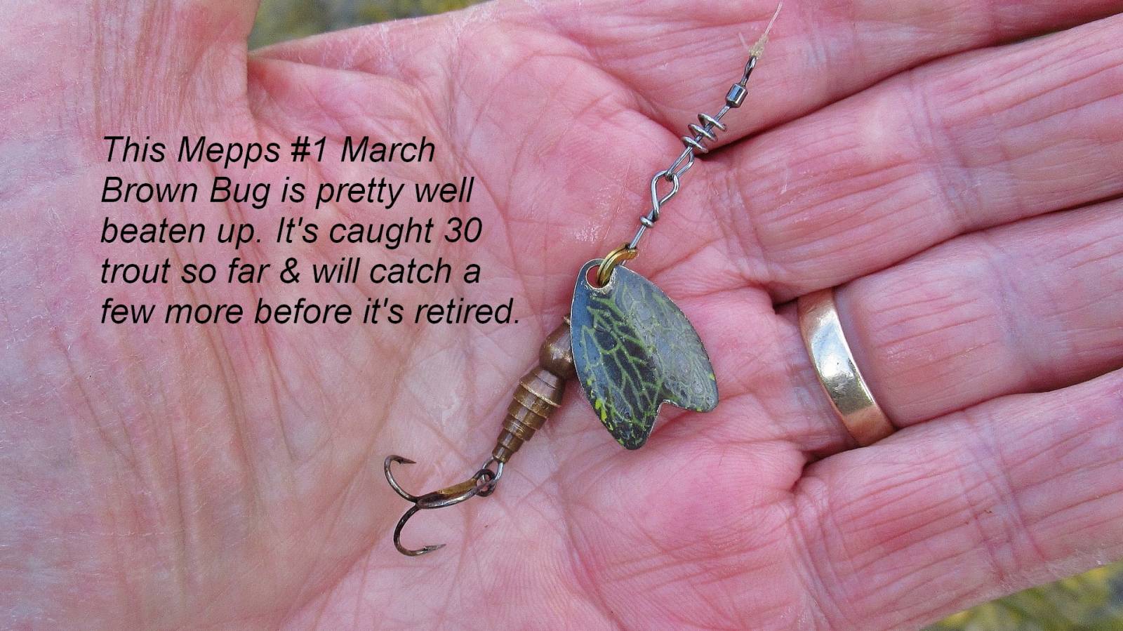The March Brown Bug, a must have trout lure..JPG
