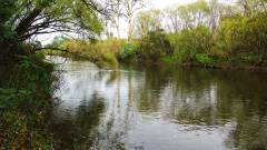 Mersey River. 2319 (Large).JPG